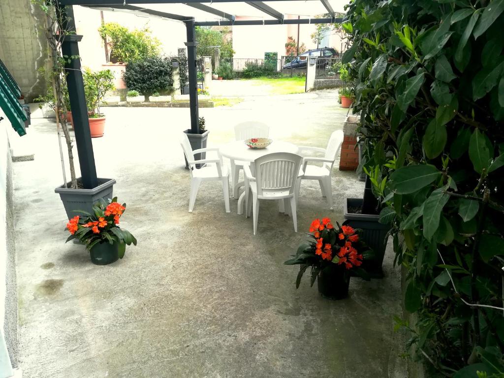 Casa Alma - 5
