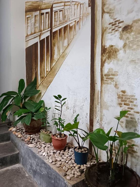 Exterior view, Chino Town Gallery Alley in Phuket