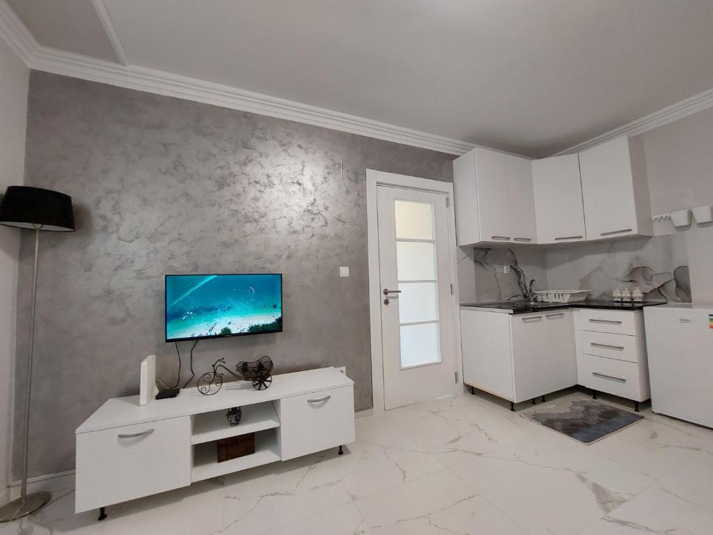D&N Apartman, Ledine