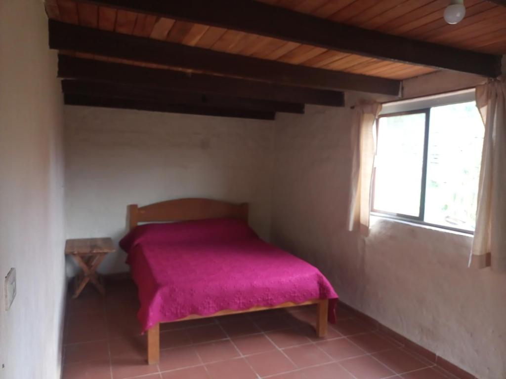 Casa Loto - 5