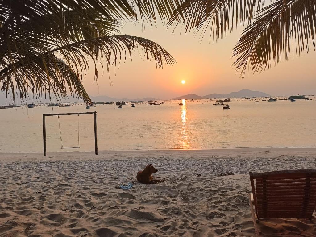 The Sunrise Anh Tu, Cam Ranh