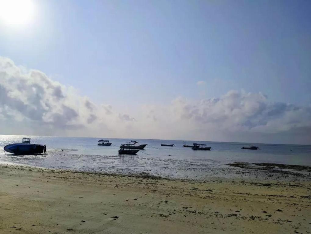 ชายหาด