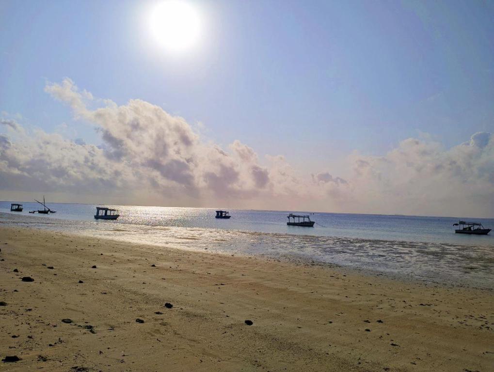 ชายหาด
