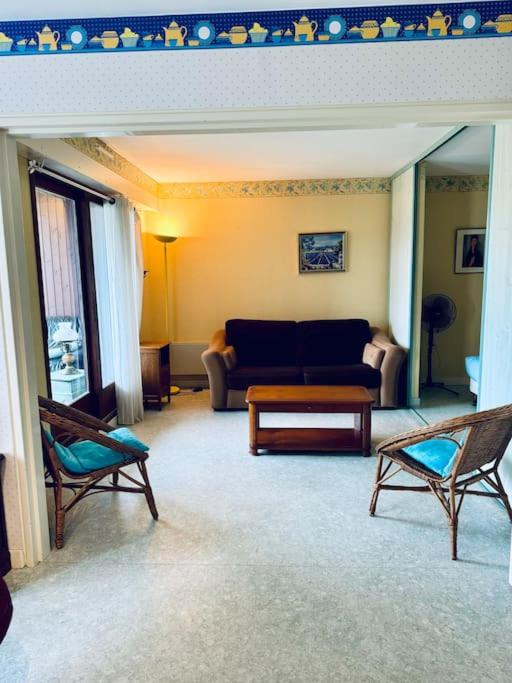 Le Seydrad, appartement vue nature, hauteurs de Gérardmer - 4