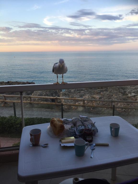 Studio vue mer, Sète