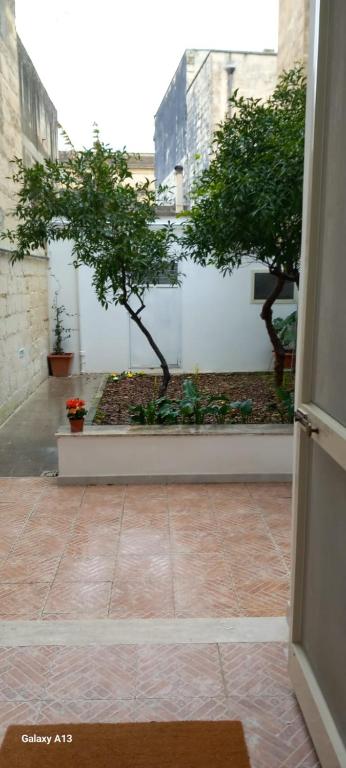 Centrale con giardino segreto - 5