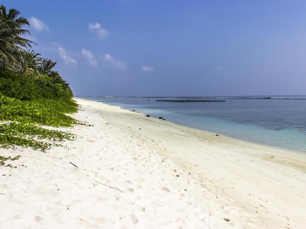 ชายหาด