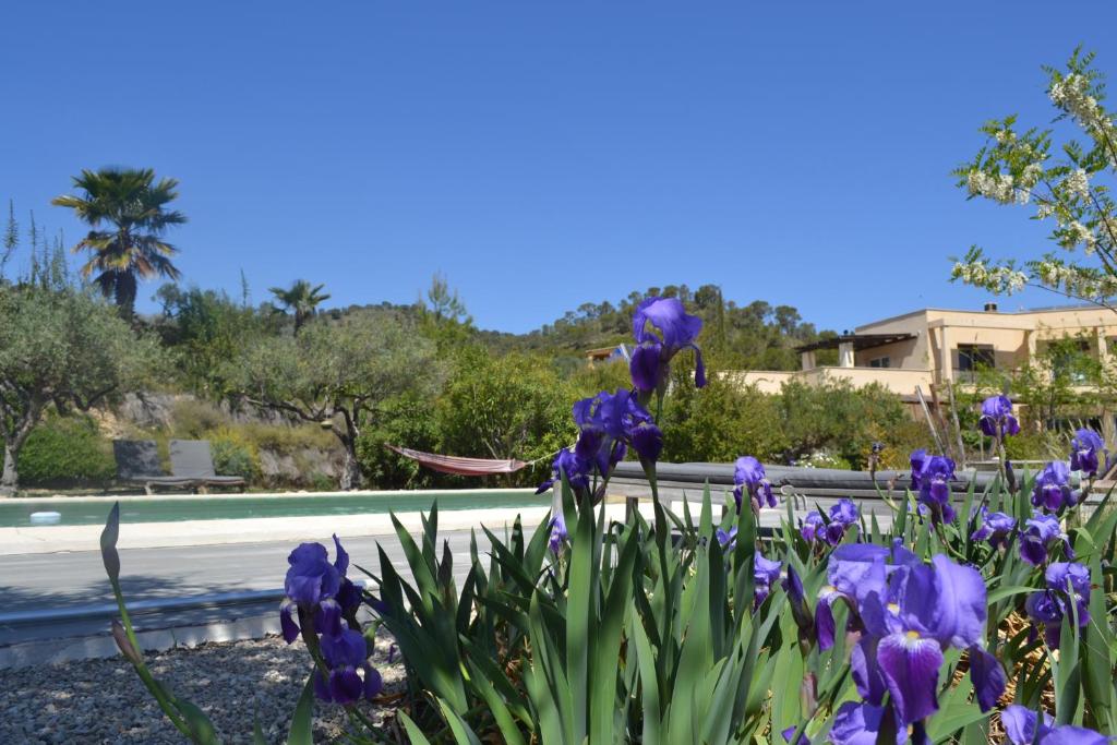 スイミングプール