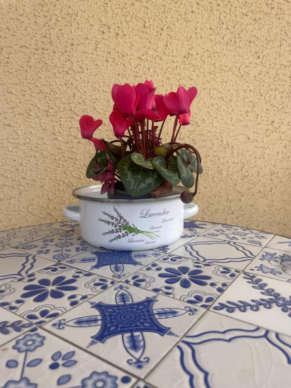 Cozy one bedroom, big balcony, pool area - Yamasol - 3