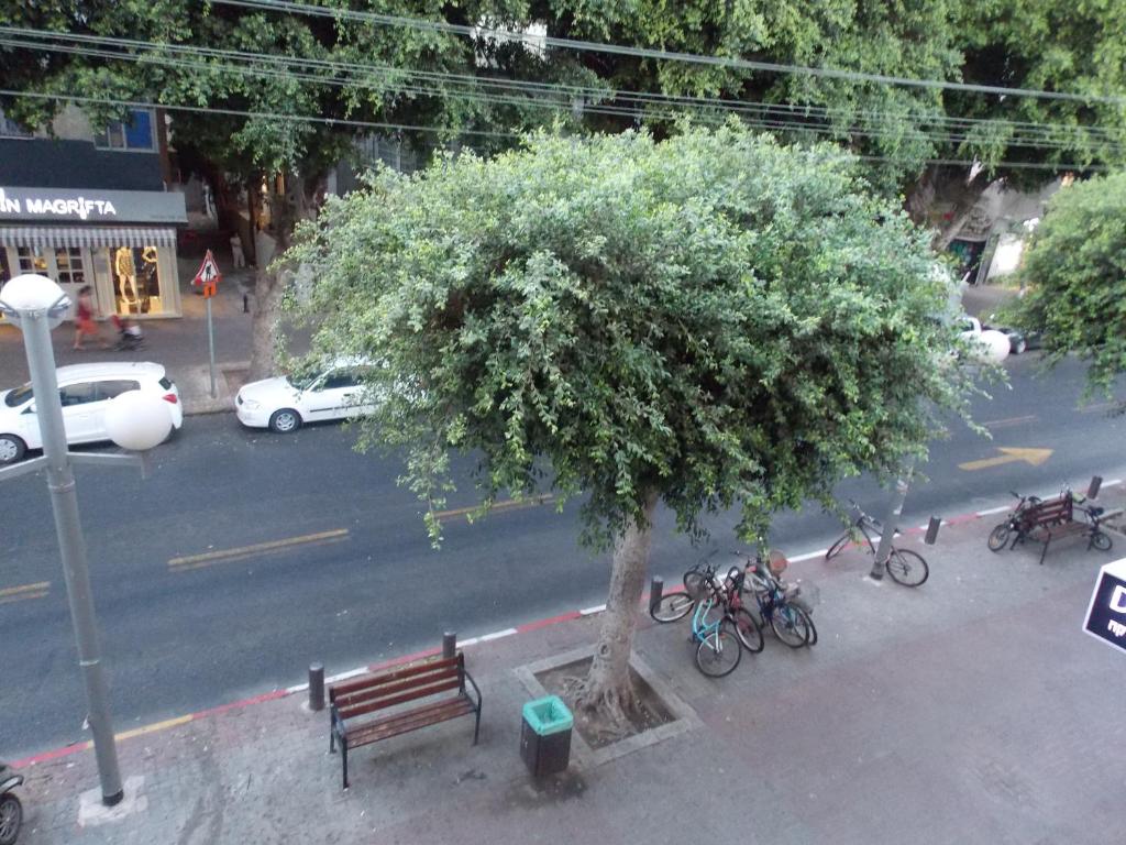 ทัศนียภาพ