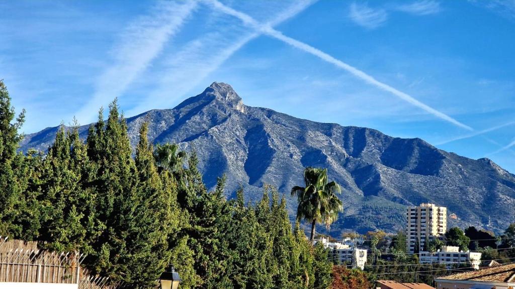 Cosy apartment in the heart of Nueva Andalucia, Marbella