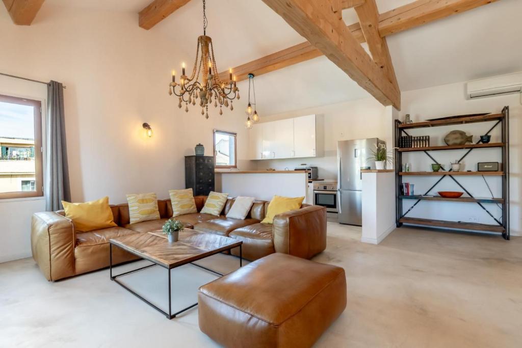 Olive- Vaste appartement donnant sur la Sorgue - 2