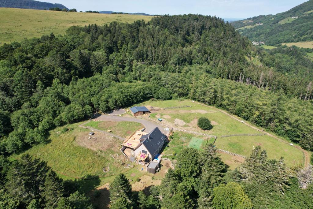 LE DOMAINE DE LA LOUVE BLANCHE - 2