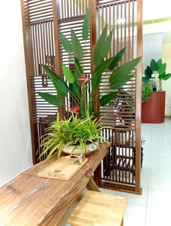 Nguyên Bảo Homestay