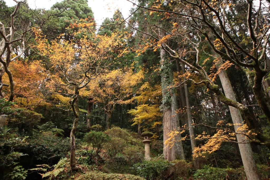 Yumotokan photo