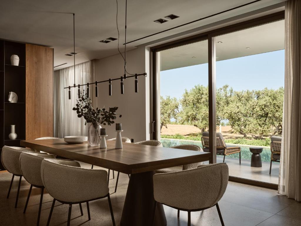 Ảnh 5