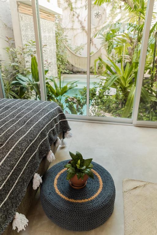 Casa Bohemia - 5