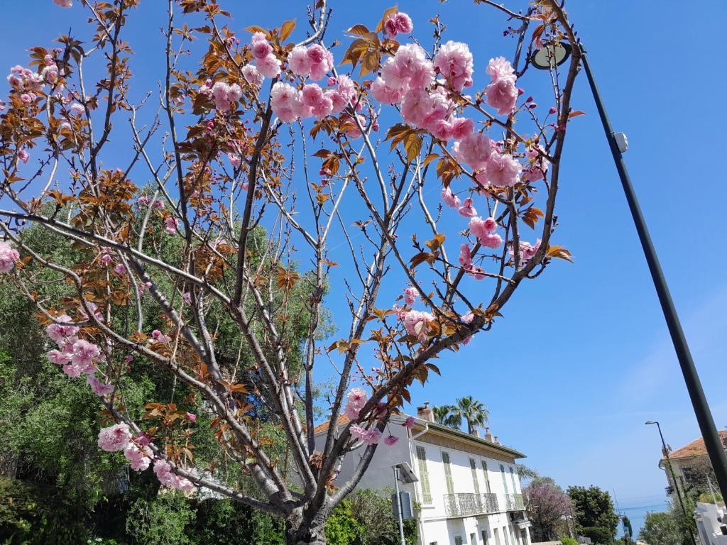 호텔 사진
