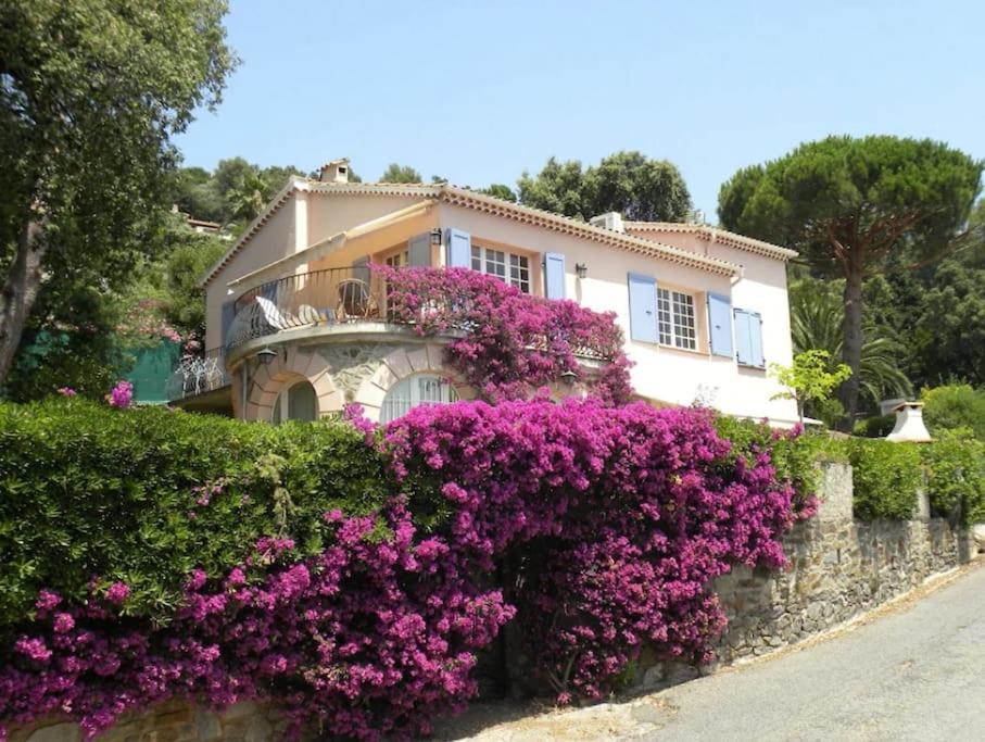 Rayol vue mer jardin plage à pied - St-Tropez 25km, Le Rayol-Canadel-sur-Mer
