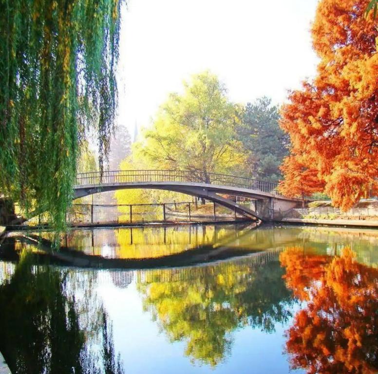 Apartament în Herăstrău self check-in, Bukurešť