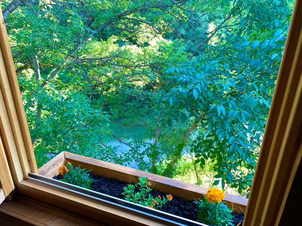 Magical Treehouse w sandy beach - 5