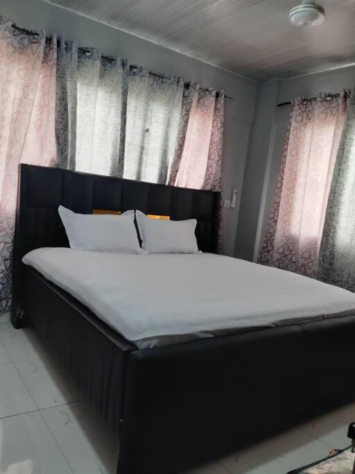 The Alpha residence, Tema