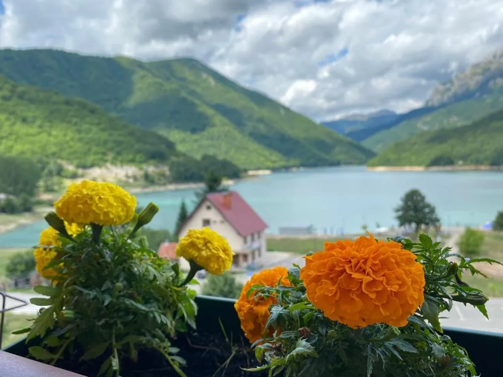 Apartment LAKEVIEW, hotel in Pluzine