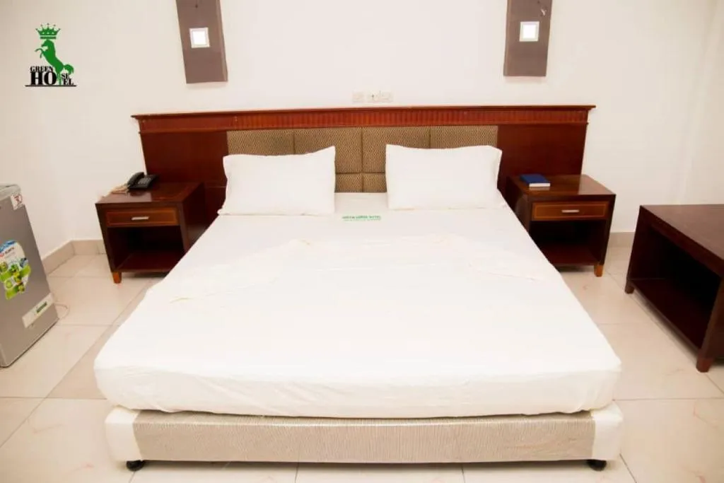 New Green Horse Hotel, hotel in Cotonou