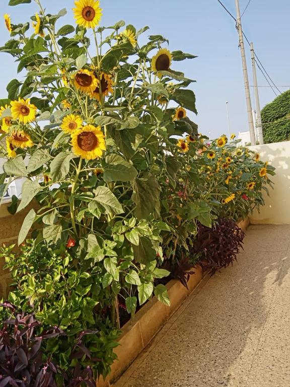 Casa vacanza Tiziana - 4