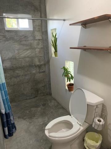 Departamento cocoonning en "Casa Livia" piscina y jardín - 4