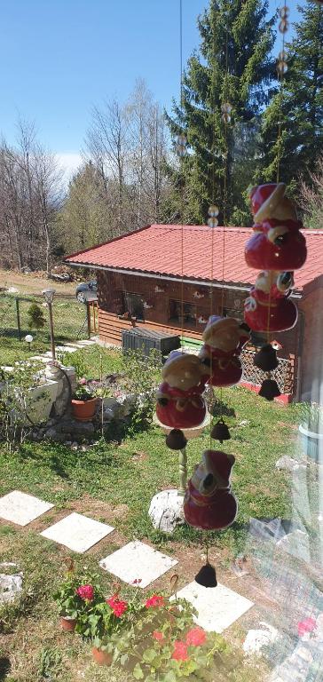 Zlatiborska brvnara Mountain House Reba - 3