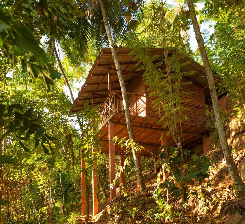 Polwaththa Eco Lodges photo