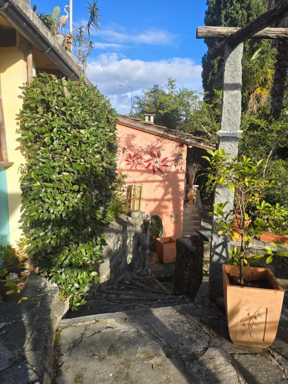 Exterior view