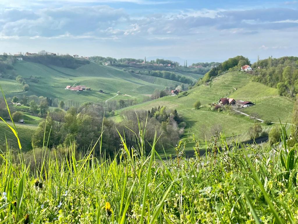 Die Mansarde - 5