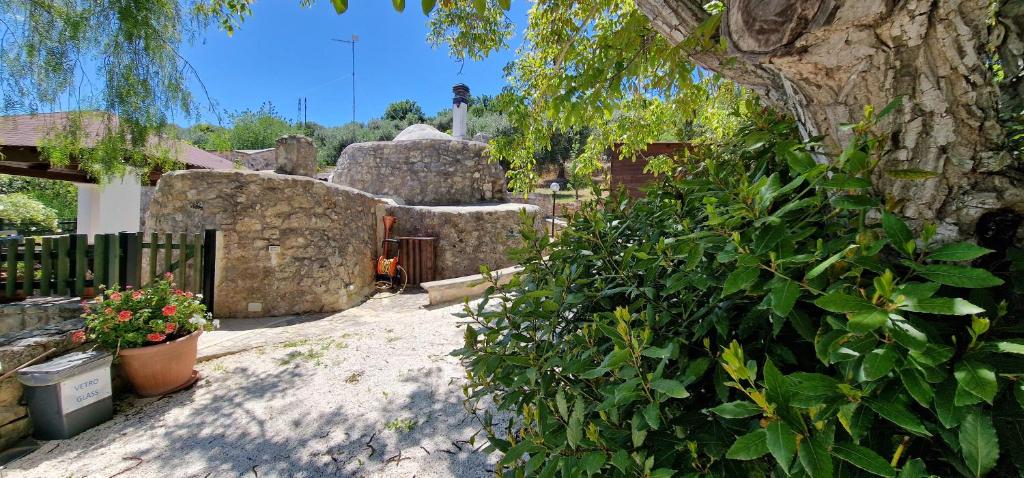 Trullo Grande Noce - 3