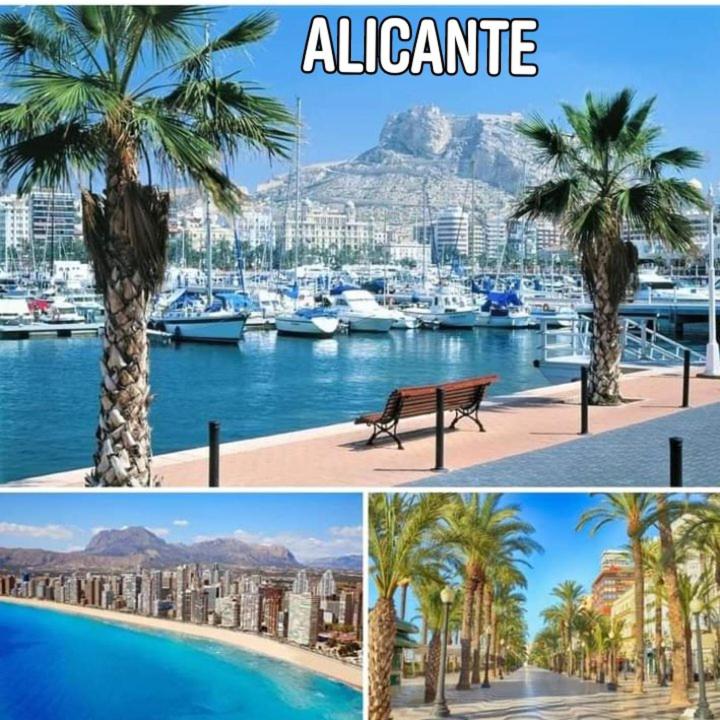 MAGIC APARTAMENT - ALICANTE, Alicante