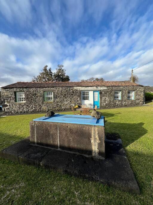 Casa do Cacto - 1 Bedroom Cosy Flat, Madalena