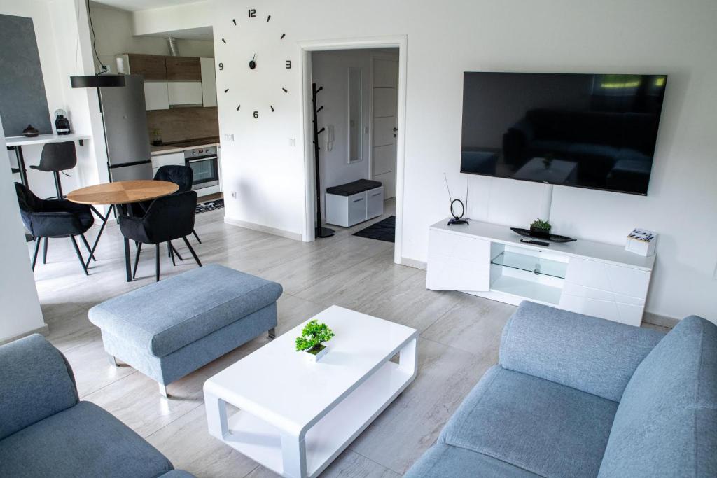 David, Slavonski Brod