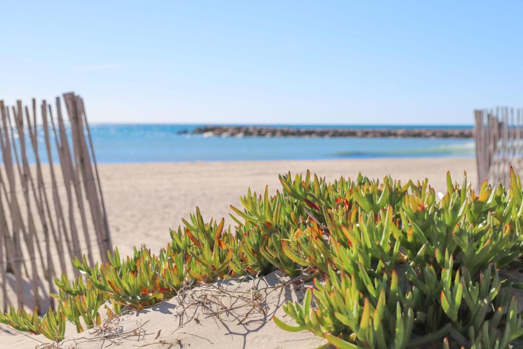 T2 Boheme Centre Ville Palavas Proche Plage - 2