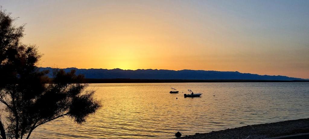 Apartment Alexandra, Vir