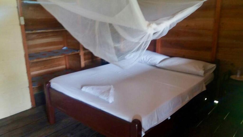 Ecolodge Mar y Rio - 2