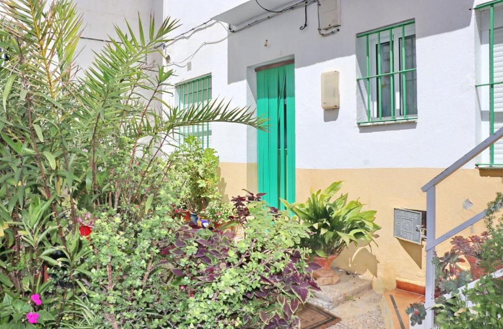 Apartamento Brezo - 4