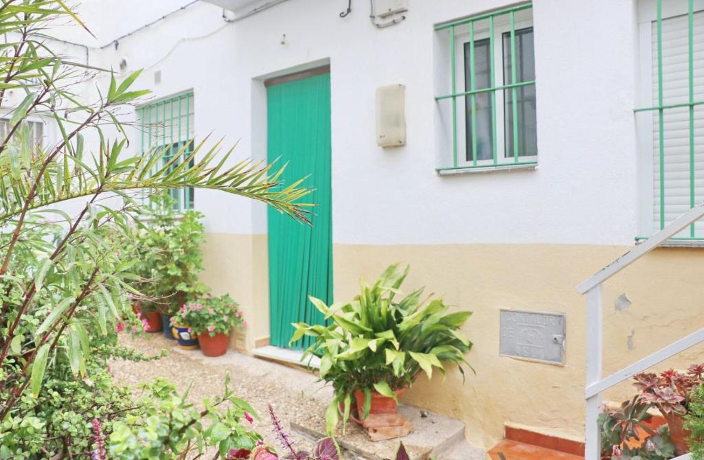 Apartamento Brezo - 3