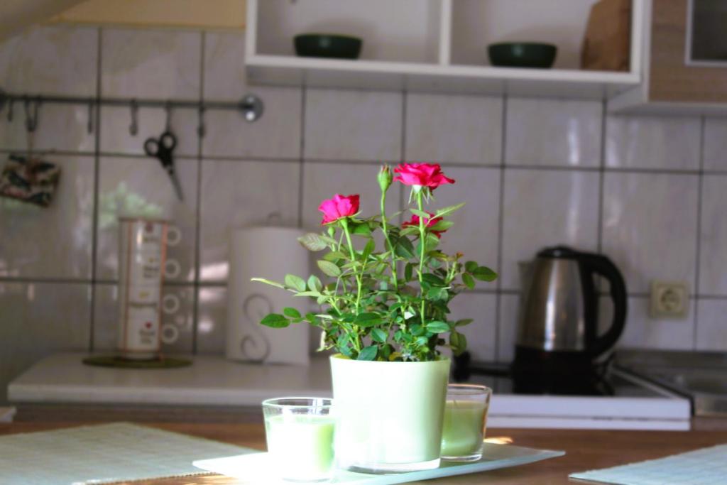 Svila Apartmani - 5