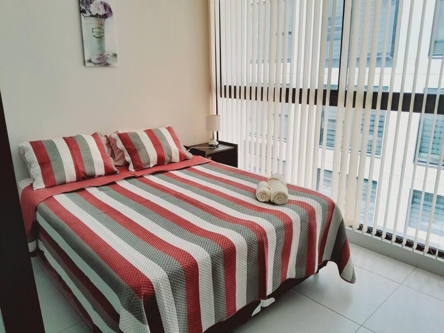 Smart Studio 503 - 2