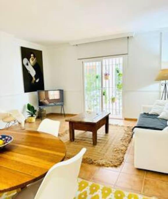 Logement vieux centre Marbella - 5