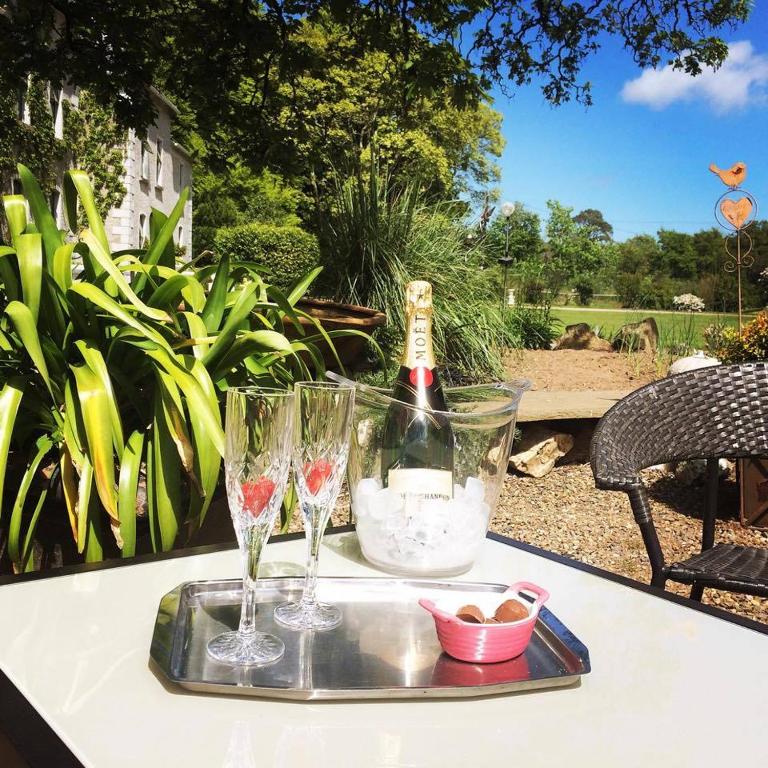 View, Rathaspeck Manor B&B in Wexford