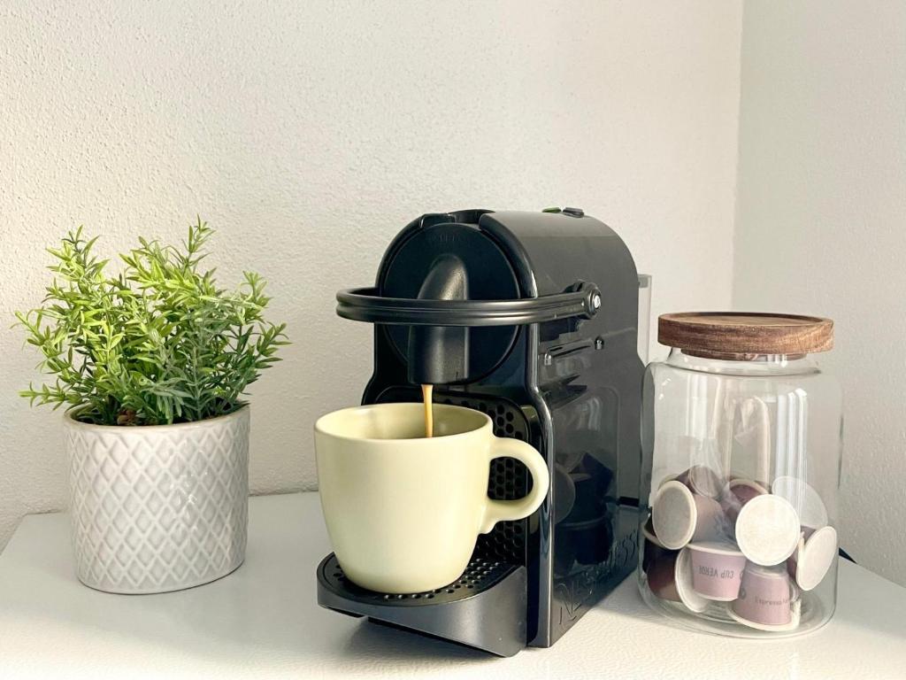 StayNature 2BR App. Altstadt - 2