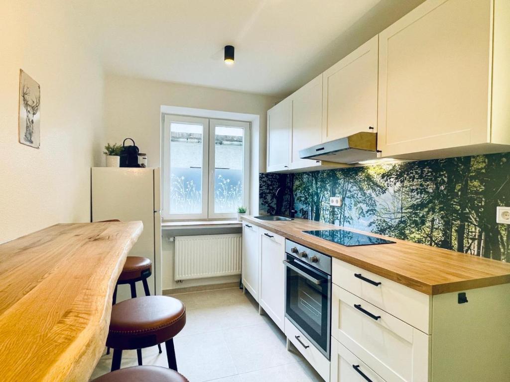 StayNature 2BR App. Altstadt - 4