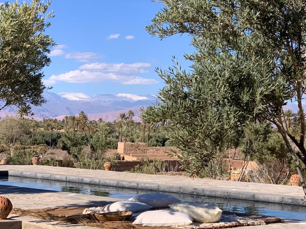 Dar faracha, Warzazát